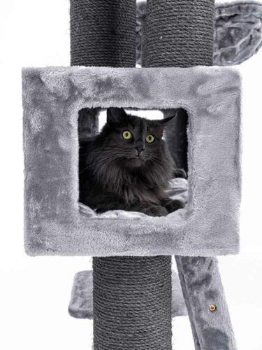 Cat Tree Parklane Petrebels