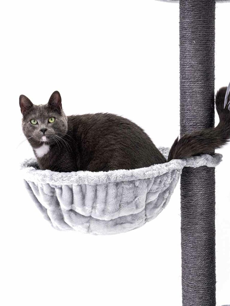 Cat tree Charlotte 134 - Petrebels