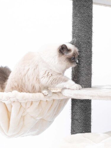 Cat tree Catharina 160 - Petrebels