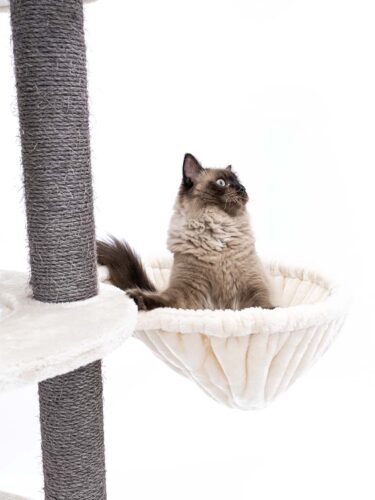 Cat tree Catharina 160 - Petrebels