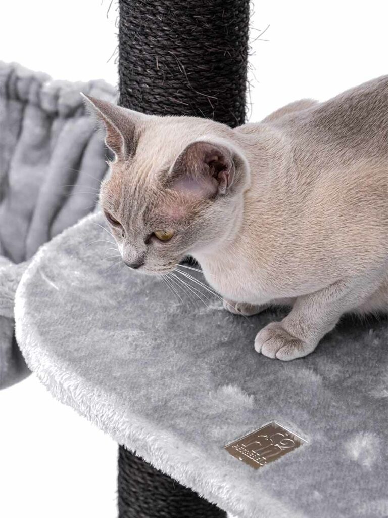 Cat tree Catharina 160 - Petrebels