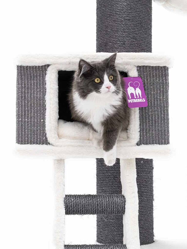 Cat tree Ragdoll 180 - Petrebels