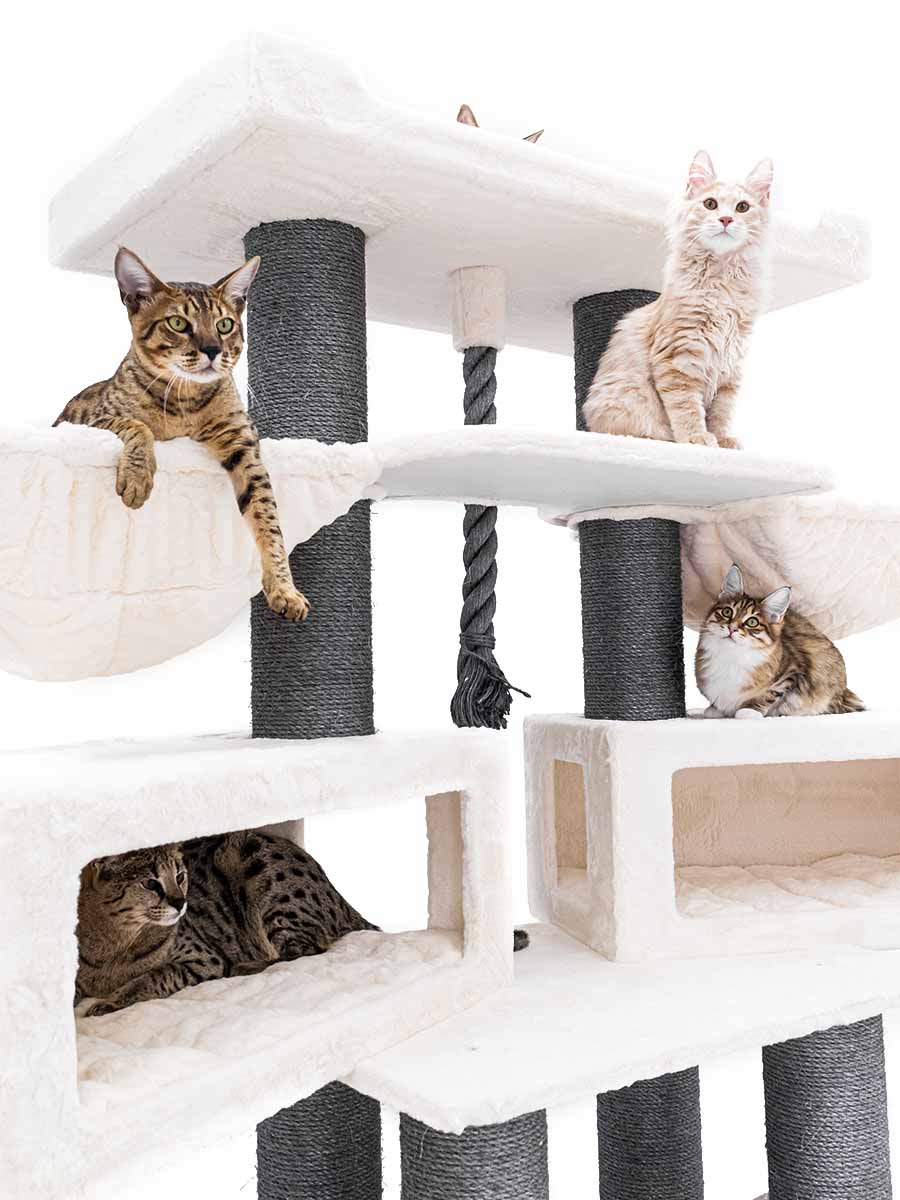 Cat tree Alley 200 Petrebels