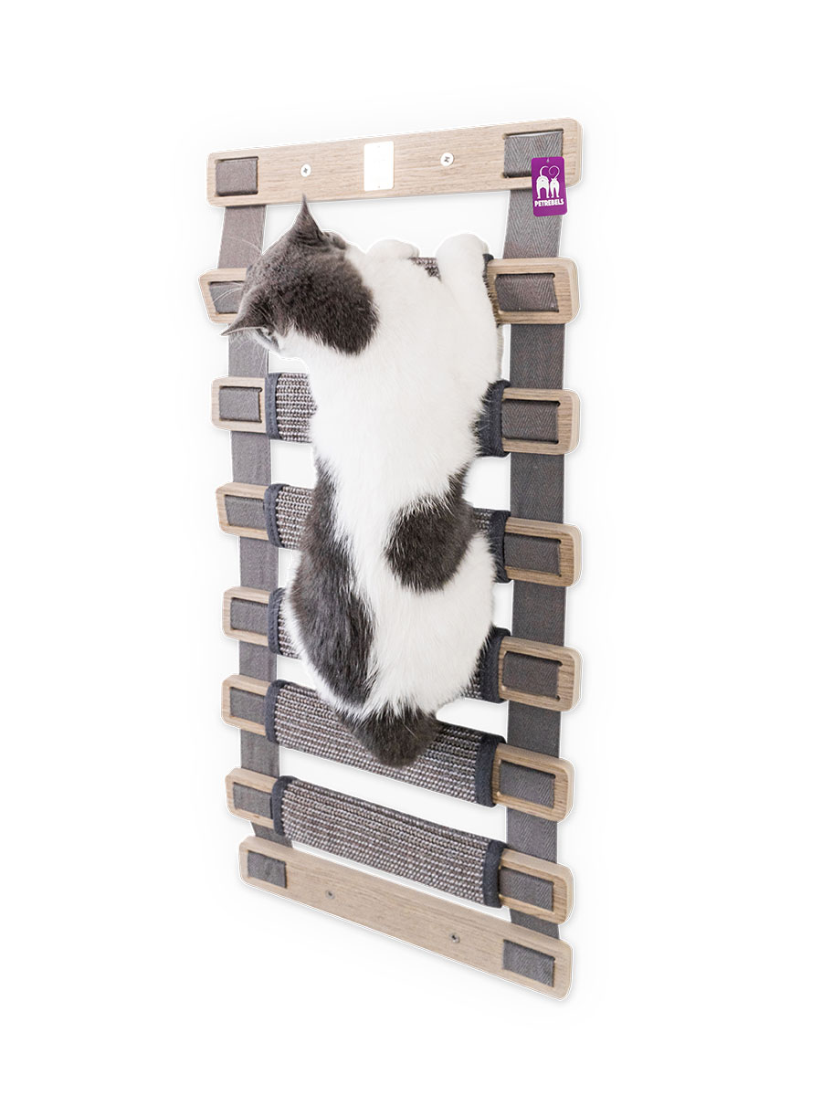 Cat clearance wall ladder