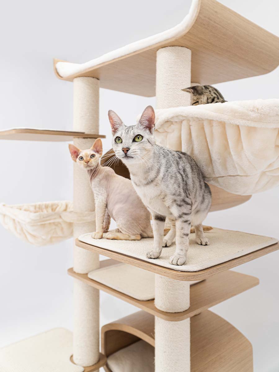 Croopstar cat tree hotsell