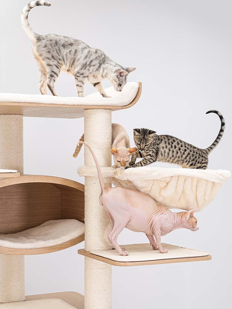 Croopstar cat tree best sale