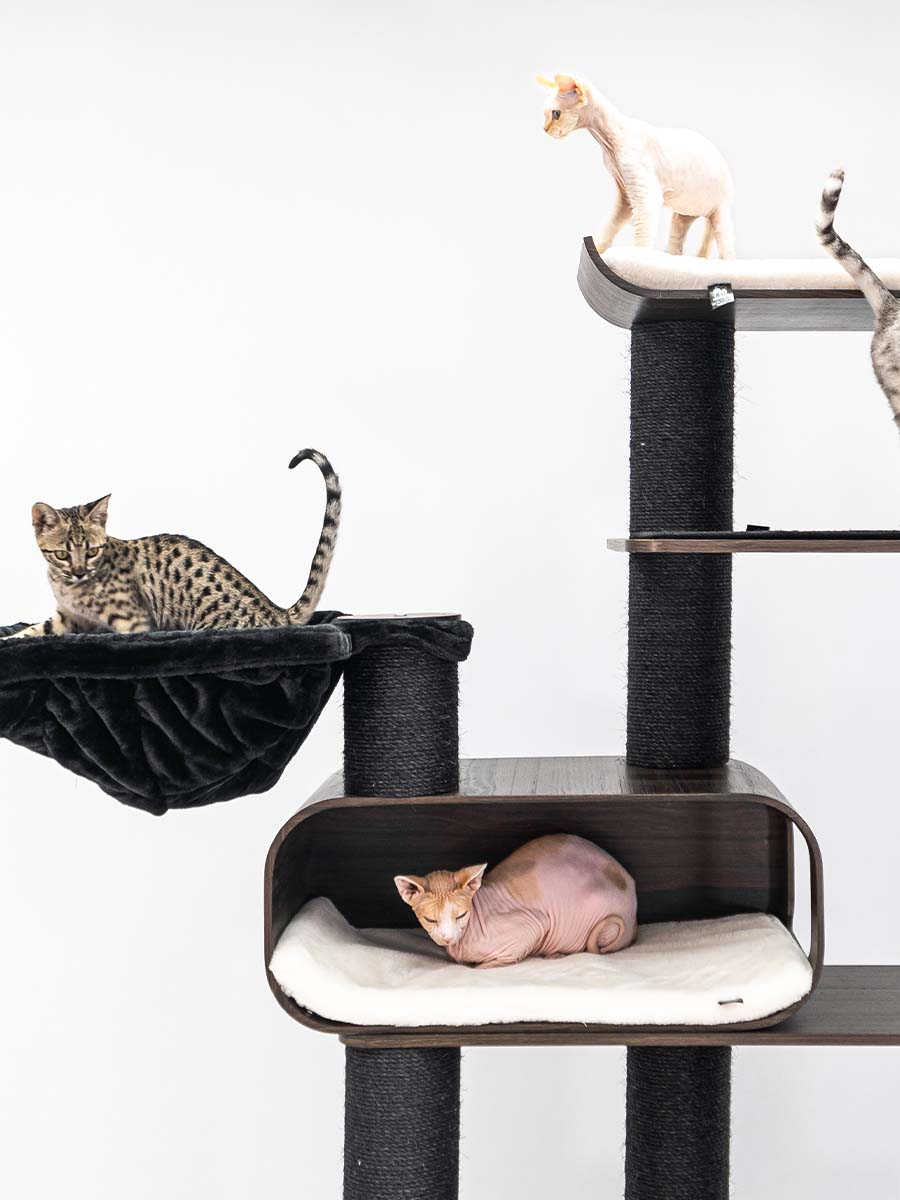 Cat Tree Virgo 200 Petrebels