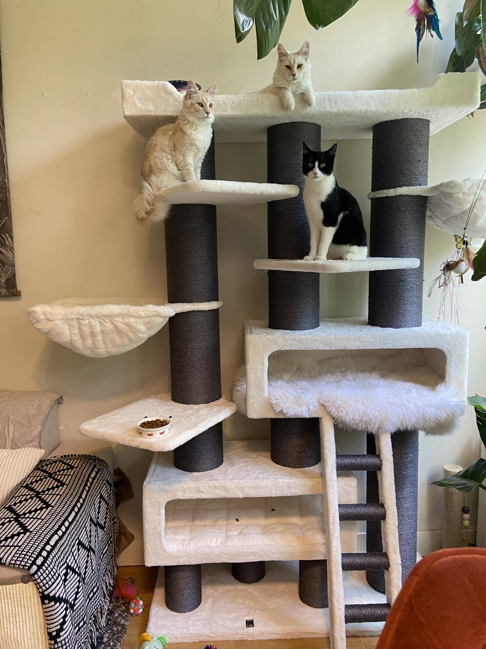 Cat tree Siberian 200 - Petrebels