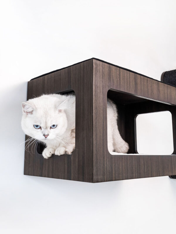 Kattenmuur Box 60