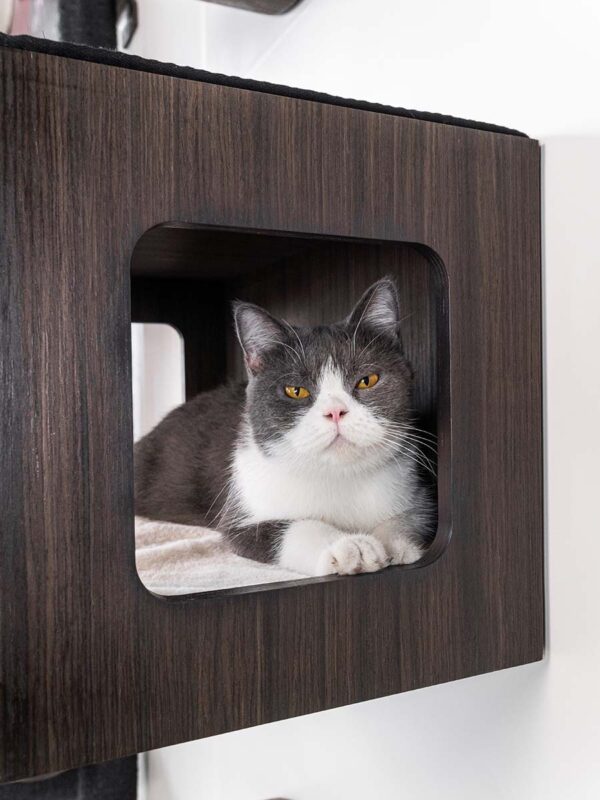 Kattenmuur Box 60